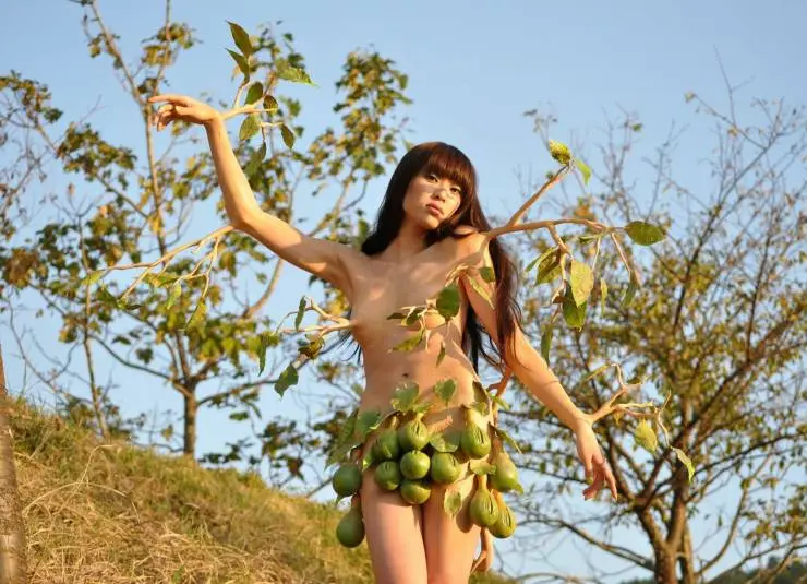 Причудливый лес (2011) через торрент скачать Причудливый лес (2011) фильм через торрент скачать