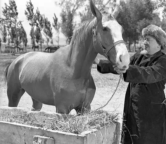 Моя ошибка (1957) через торрент скачать Моя ошибка (1957) фильм через торрент скачать