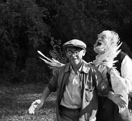 Праздник в ботаническом саду (1969) в хорошем качестве через торрент Праздник в ботаническом саду (1969) фильм в хорошем качестве через торрент