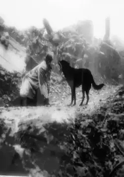 Проклятие (1988) через торрент бесплатно Проклятие (1988) фильм через торрент бесплатно