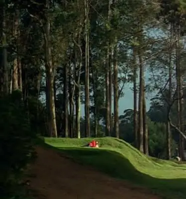 Святой (1965) через торрент скачать Святой (1965) фильм через торрент скачать