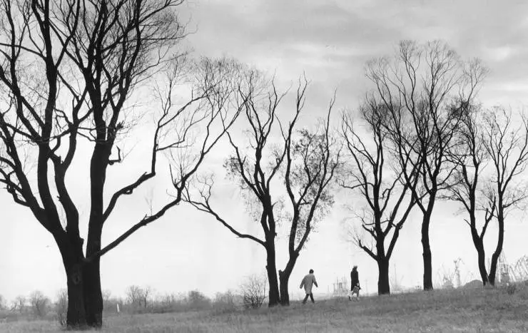 Яблоко в реке (1976) через торрент скачать Яблоко в реке (1976) фильм через торрент скачать