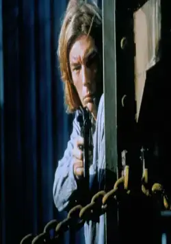 Леди дракон 2 (1993) через торрент скачать Леди дракон 2 (1993) фильм через торрент скачать