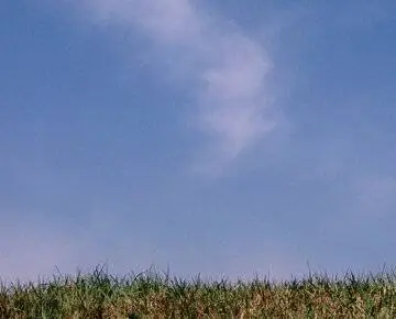 Долгая прогулка (2006) через торрент бесплатно Долгая прогулка (2006) фильм через торрент бесплатно