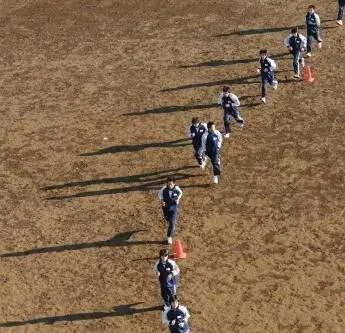 Синяя птица (2008) через торрент скачать Синяя птица (2008) фильм через торрент скачать