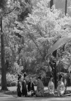 Госпожа Ою (1951) через торрент бесплатно Госпожа Ою (1951) фильм через торрент бесплатно