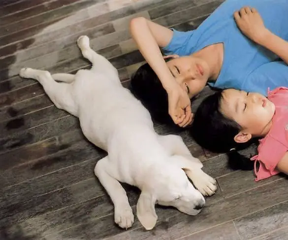 Искренние лапы (2006) через торрент скачать Искренние лапы (2006) фильм через торрент скачать