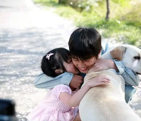 Искренние лапы (2006) в хорошем качестве через торрент Искренние лапы (2006) фильм в хорошем качестве через торрент