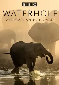 BBC. Водопой: Африканский Оазис для Животных / Waterhole: Africa's Animal Oasis (2020) cериал скачать через торрент в хорошем качестве