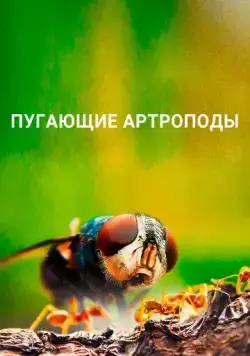 Пугающие артроподы / Creepy Crawlies (2021) cериал скачать через торрент в хорошем качестве