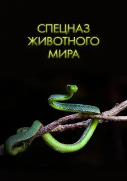 Спецназ животного мира / Animal Special Forces (2018) cериал скачать через торрент в хорошем качестве