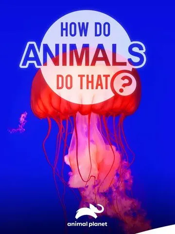 Удивительный мир животных / How do Animals do That (2019) cериал скачать через торрент в хорошем качестве