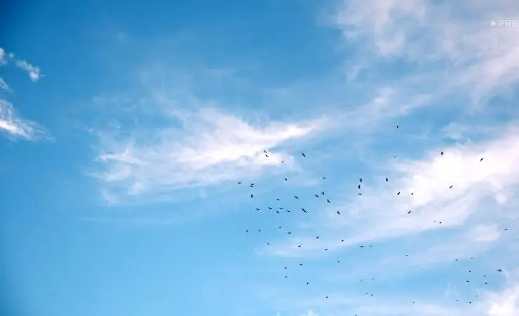 За едой (2022) через торрент бесплатно За едой (2022) сериал через торрент бесплатно