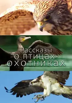 Рассказы о птицах-охотниках / Tales of the Avian Hunters (2011) cериал скачать через торрент в хорошем качестве
