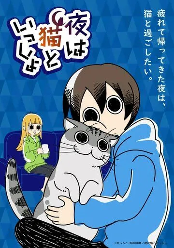 Вечера с котом / Yoru wa Neko to Issho (2022) cериал мультфильм аниме скачать через торрент в хорошем качестве