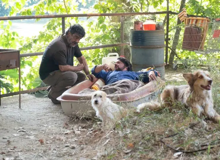 Академия четвероногих (2024) в хорошем качестве через торрент Академия четвероногих (2024) фильм в хорошем качестве через торрент