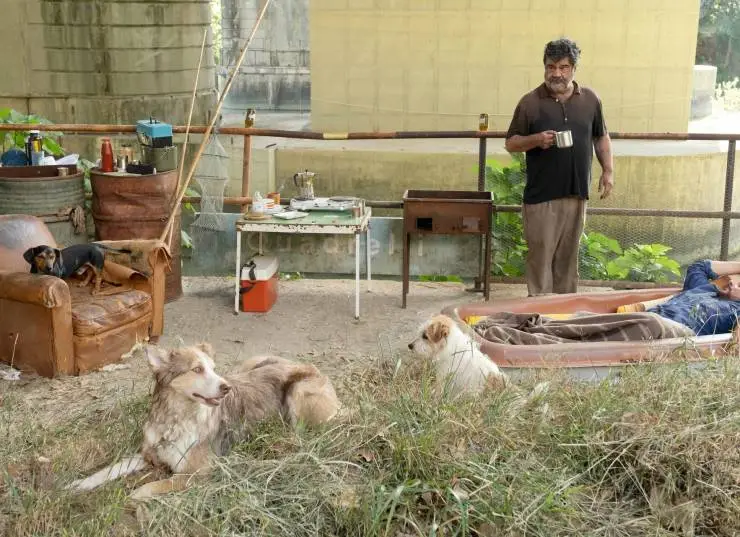 Академия четвероногих (2024) через торрент скачать Академия четвероногих (2024) фильм через торрент скачать