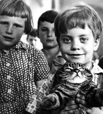 Вот придет кот (1963) через торрент бесплатно Вот придет кот (1963) фильм через торрент бесплатно