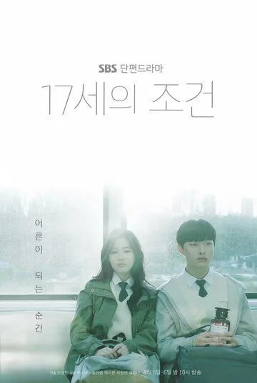 Условия 17-летних / 17seui jogeon (2019) cериал скачать через торрент в хорошем качестве
