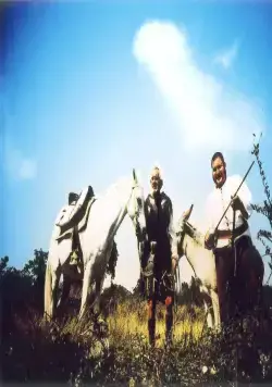 Рыцарская честь (2006) через торрент скачать Рыцарская честь (2006) фильм через торрент скачать