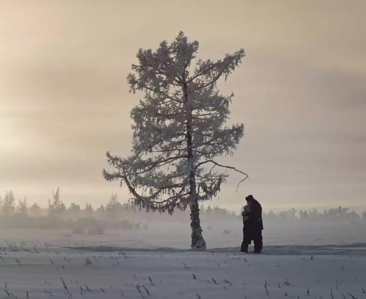 Белый пароход (2025) через торрент скачать Белый пароход (2025) фильм через торрент скачать