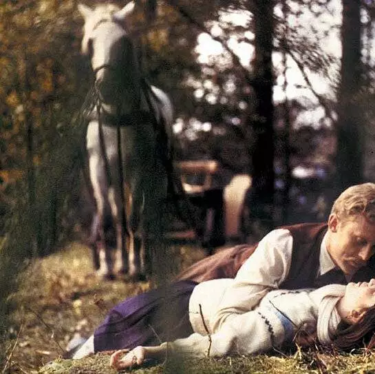 Барышни из Вилько (1979) в хорошем качестве через торрент Барышни из Вилько (1979) фильм в хорошем качестве через торрент