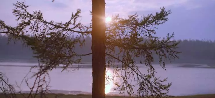 Нуучча (2021) через торрент скачать Нуучча (2021) фильм через торрент скачать