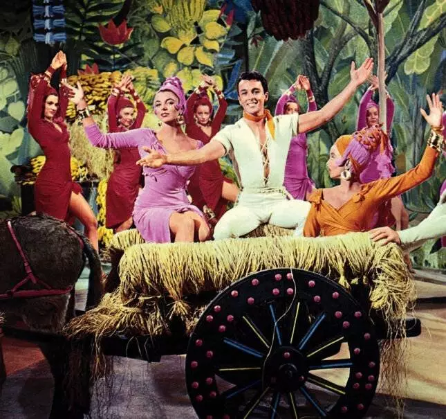 Противоположный пол (1956) через торрент скачать Противоположный пол (1956) фильм через торрент скачать