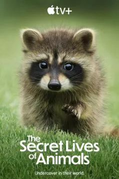 Тайная жизнь животных / The Secret Lives of Animals (2024) cериал скачать через торрент в хорошем качестве