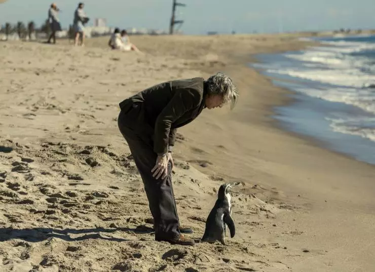 Школа мистера Пингвина (2024) через торрент скачать Школа мистера Пингвина (2024) фильм через торрент скачать