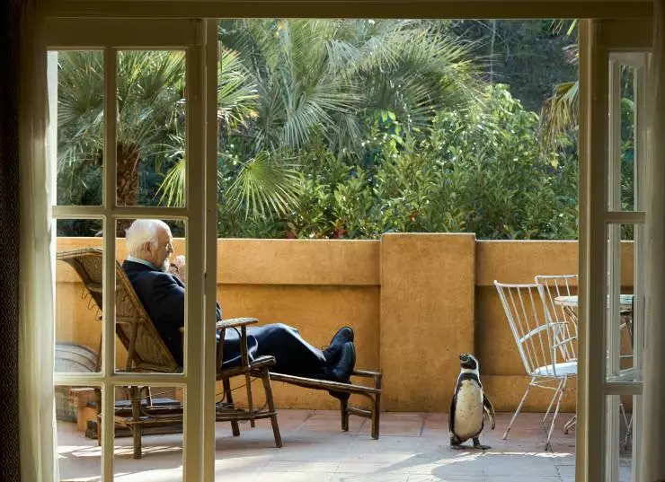 Школа мистера Пингвина (2024) в хорошем качестве через торрент Школа мистера Пингвина (2024) фильм в хорошем качестве через торрент