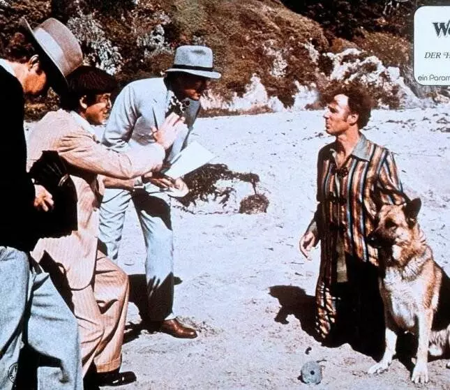 Вон Тон Тон – собака, которая спасла Голливуд (1976) через торрент скачать Вон Тон Тон – собака, которая спасла Голливуд (1976) фильм через торрент скачать