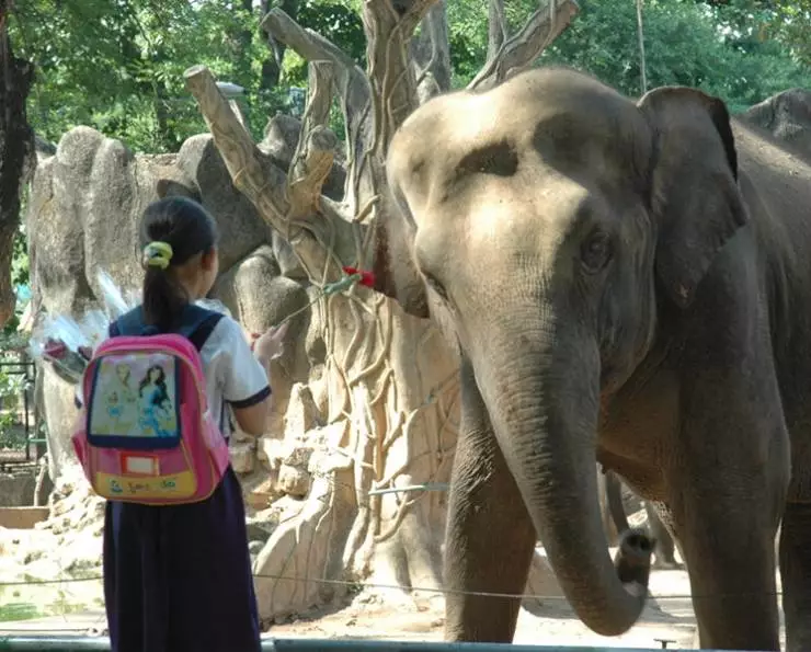 Сова и Воробей (2007) через торрент бесплатно Сова и Воробей (2007) фильм через торрент бесплатно