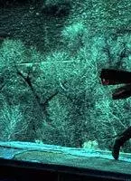 Смертельный экспресс (2002) через торрент бесплатно Смертельный экспресс (2002) фильм через торрент бесплатно