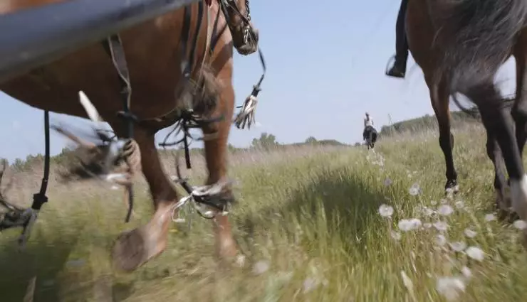 Кто ты, волонтер? (2022) в хорошем качестве через торрент Кто ты, волонтер? (2022) фильм в хорошем качестве через торрент