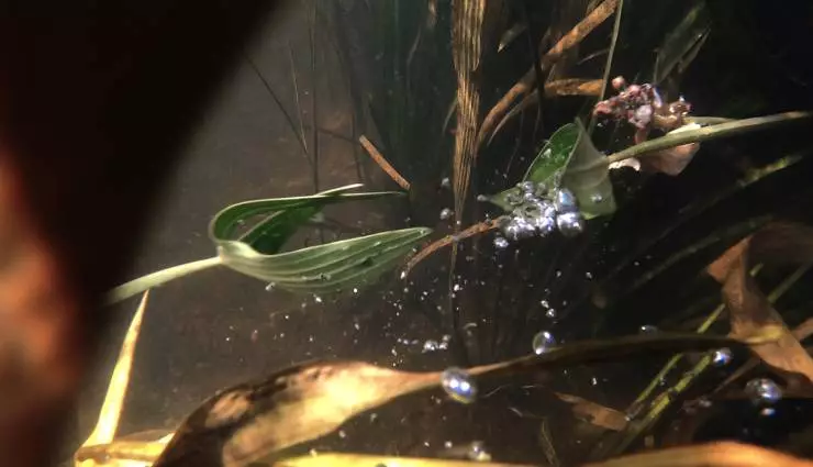 Кто ты, волонтер? (2022) через торрент бесплатно Кто ты, волонтер? (2022) фильм через торрент бесплатно