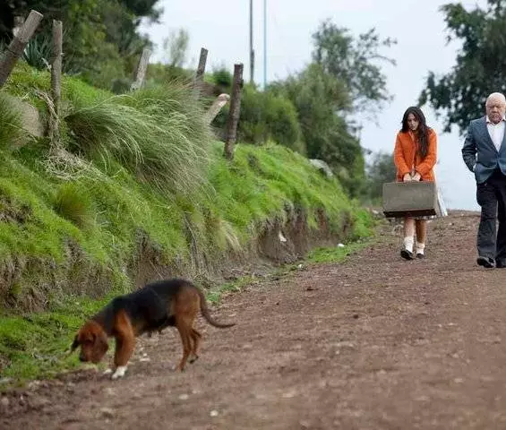 Женщины-убийцы (2008) в хорошем качестве через торрент Женщины-убийцы (2008) сериал в хорошем качестве через торрент