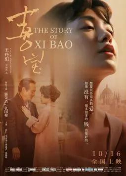 История Сибао / Xi Bao (2020) фильм скачать через торрент в хорошем качестве