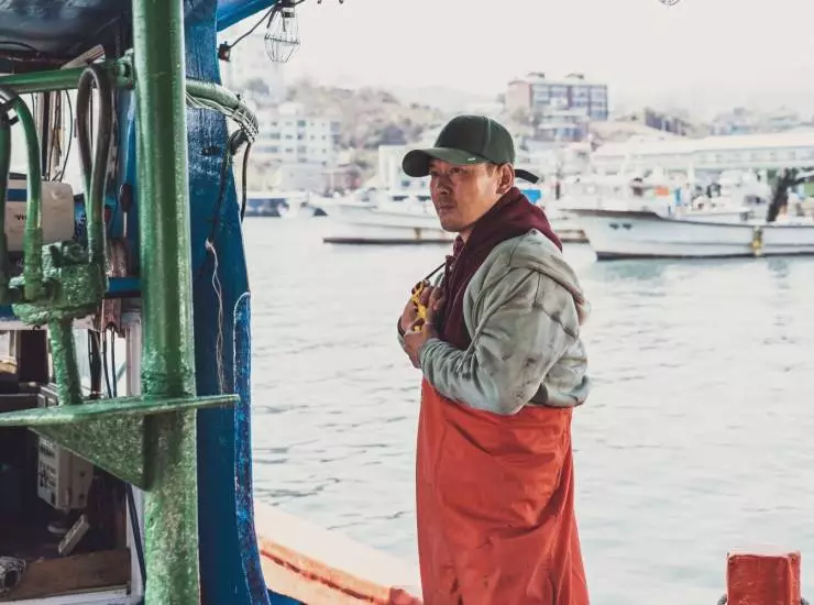 Страна утренней свежести (2024) в хорошем качестве через торрент Страна утренней свежести (2024) фильм в хорошем качестве через торрент