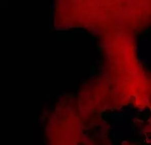 Вечная тьма (2006) в хорошем качестве через торрент Вечная тьма (2006) фильм в хорошем качестве через торрент