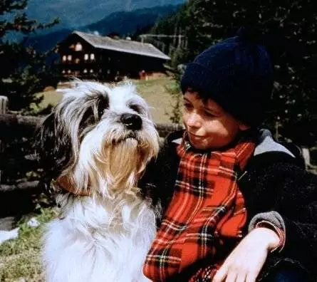 Рождество с Вилли Гавом (1994) через торрент скачать Рождество с Вилли Гавом (1994) фильм через торрент скачать