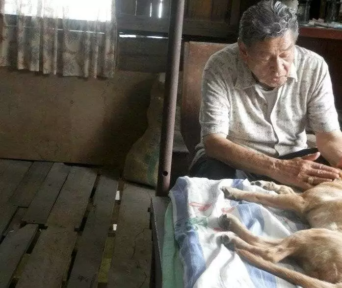 Буакау (2012) в хорошем качестве через торрент Буакау (2012) фильм в хорошем качестве через торрент