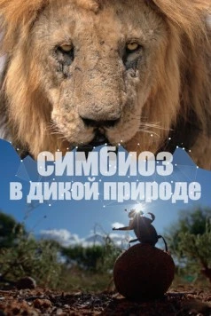 Симбиоз в дикой природе / Connection (2023) сериал скачать через торрент в хорошем качестве