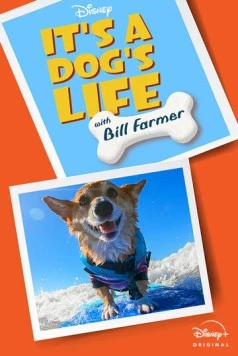 It's A Dog's Life (2020) cериал скачать через торрент в хорошем качестве