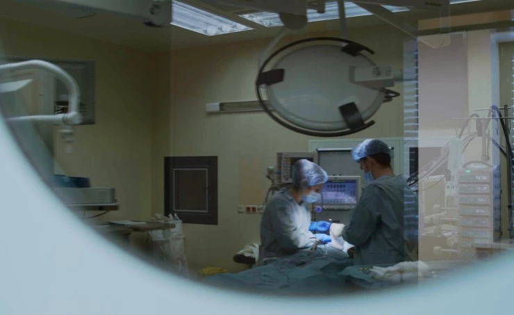 Наши лечат (2021) в хорошем качестве через торрент Наши лечат (2021) сериал в хорошем качестве через торрент