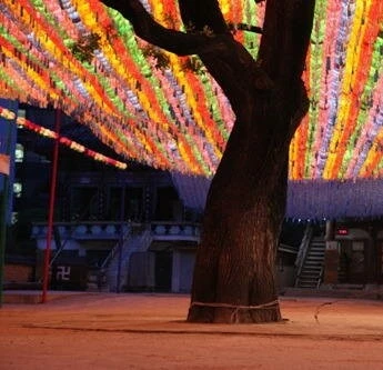 Как путешествовать с быком (2010) через торрент скачать Как путешествовать с быком (2010) фильм через торрент скачать