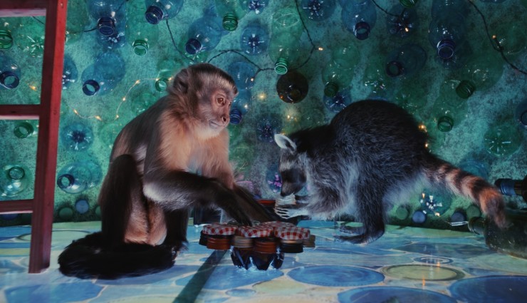 Побег из зоопарка (2024) через торрент бесплатно Побег из зоопарка (2024) фильм через торрент бесплатно