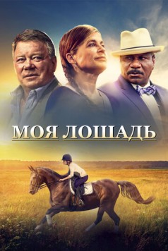 Моя лошадь / A Sunday Horse (2016) фильм скачать через торрент в хорошем качестве
