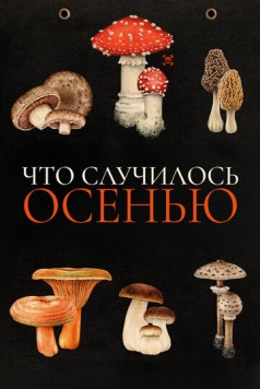 Что случилось осенью / Quand vient l'automne (2024) фильм скачать через торрент в хорошем качестве