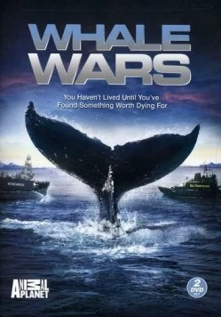 Китовые войны / Whale Wars (2008) cериал скачать через торрент в хорошем качестве